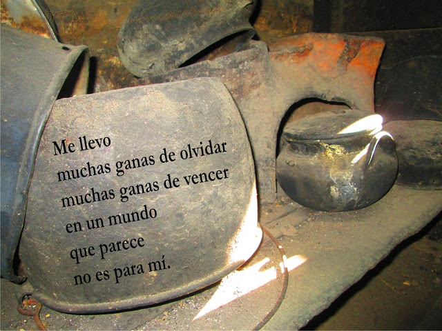 WhatsApp-Image-2020-06-09-at-8.16.03-PM Poesía de Pilar Taipe