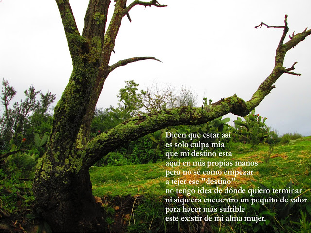 WhatsApp-Image-2020-06-15-at-8.16.30-PM Poesía de Pilar Taipe